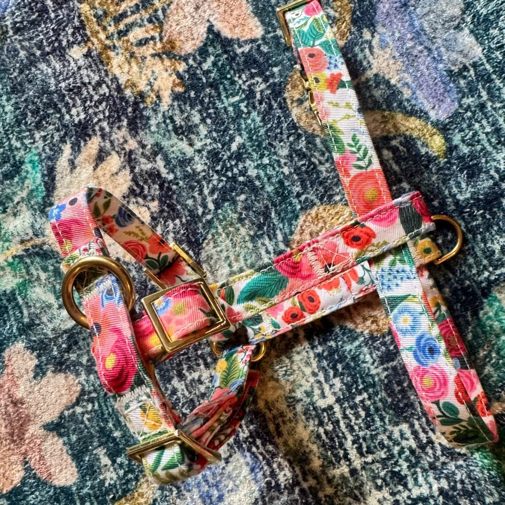 The Foggy Dog x Rifle Paper Co Floral Dog Harness with Gold Buckles XS